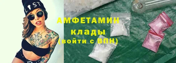 ПСИЛОЦИБИНОВЫЕ ГРИБЫ Абаза