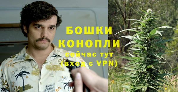 индика Приозерск