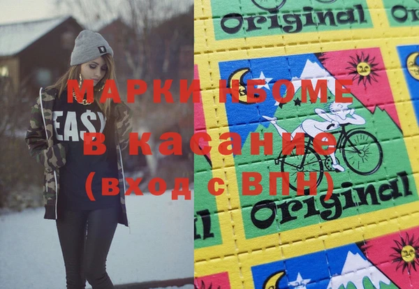 индика Приозерск