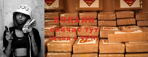 индика Приозерск