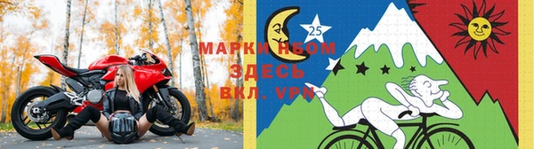 индика Приозерск