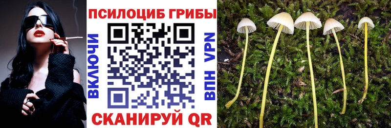 Псилоцибиновые грибы Psilocybe  Остров 